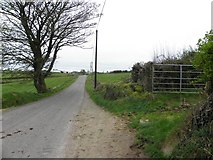 H4180 : Castletown Road, Gortinagin by Kenneth  Allen