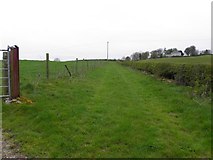 H4180 : Grassy track, Gortinagin by Kenneth  Allen