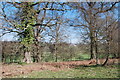 View towards Bayham Abbey