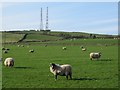 Pastures below Catton Beacon