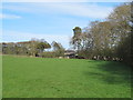 Pastures and woodland near Highfield Farm