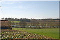 Lakes at Elphicks Farm