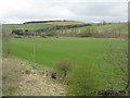 Teviotdale farmland