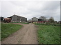 NY3658 : Park Farm, Grinsdale by Ian S