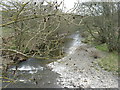 The River Teviot at Newmill