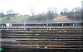 Railway sidings, Grove Park