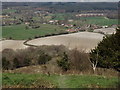 Sussex Weald by Heyshott