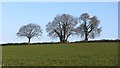 Arable land seen from Binford