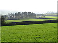 Pastures northeast of Pasture House