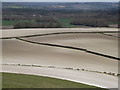 Fields by Manor Farm