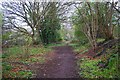 Near the end of the path along the former branch railway line, near Hartlebury