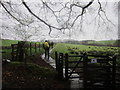 Walking east towards Birdoswald