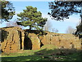 Disused quarry northeast of Old Town (2)