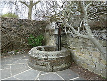TQ4109 : Well and pump in Southover Grange gardens Lewes by Dave Spicer