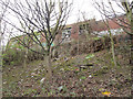 Derelict buildings above the canal