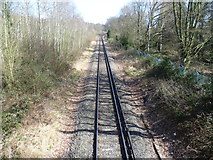 TQ4468 : Single track line near Little Thrift by Marathon