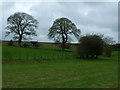 Fields east of the Settle-Carlisle railway