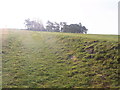 Old track from A436,  near Andoversford,  towards clump of trees