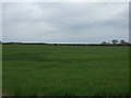 Farmland near Granby