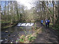 Weir at Wisewood mill pond