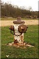 SU5065 : Fire hydrant on Greenham Heath by Steve Daniels