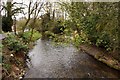 The River Lambourn in Newbury