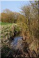 Childrey Brook at West Hanney