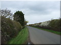 Lane towards Shelton