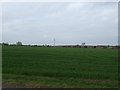 Farmland near Elston Grange