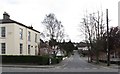 Church Avenue, Newry