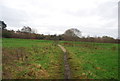 Footpath, Askers Meadow