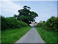 SE6889 : Woodhead Field Lane by Peter Holmes