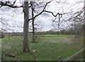 Golf Course - viewed from Holt Lane