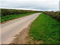 Precisely trimmed hedges, Jewitt Lane