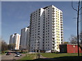 Hollington Tower Blocks, Hastings