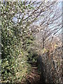 Footpath to Stonehouse Drive