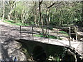 Small footbridge in Church Wood, Hastings