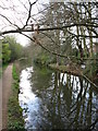 Basingstoke Canal from St John