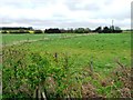 SE3842 : Fenced field south of Holme Farm Lane by Christine Johnstone