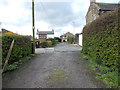 Rein Mews - looking towards Rein Road