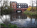 River Wey at Eashing Mill