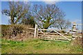 SP2292 : Five Bar Gate and Trees off Middle Lane by Mick Malpass