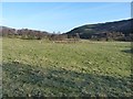 Valley pastureland in Glen Clova