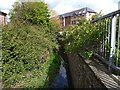 A leat on the River Yeo