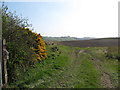 Harrowed field on the south side of Ballynafern Road