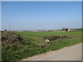 Cultivated grassland at Ballynafern