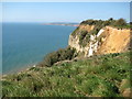 SY1587 : Clifftop, Higher Dunscombe Cliff by Philip Halling