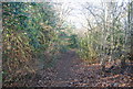 Footpath to Albany Farm