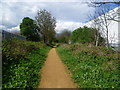 The Wandle Trail near Plough Lane