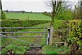 Footpath and Field access next to the A50